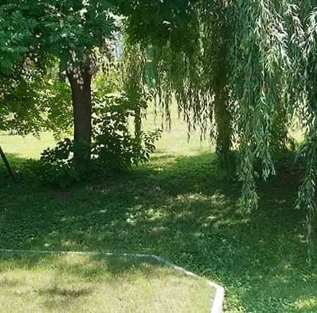 Fűzfa Apartmanház Tamási Exterior foto